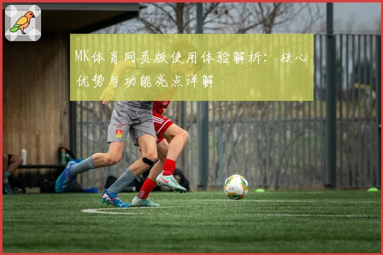 MK体育网页版使用体验解析：核心优势与功能亮点详解